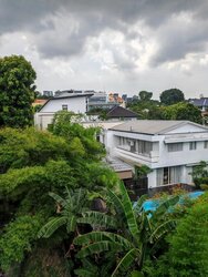 Stevens Road (D10), Detached #501871761